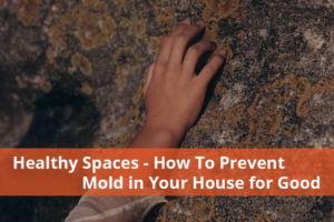 prevent mold in your house